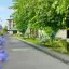 Кяласур лето 2023